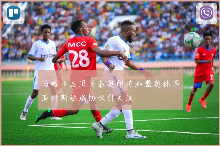 马略卡后卫马菲奥即将加盟奥林匹亚科斯达成协议引关注