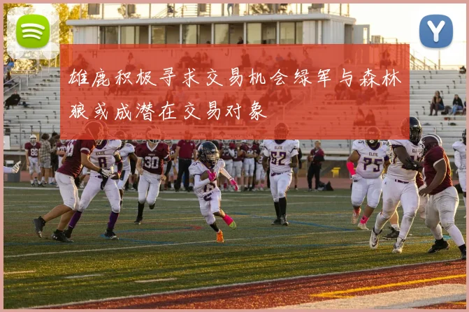 雄鹿积极寻求交易机会绿军与森林狼或成潜在交易对象