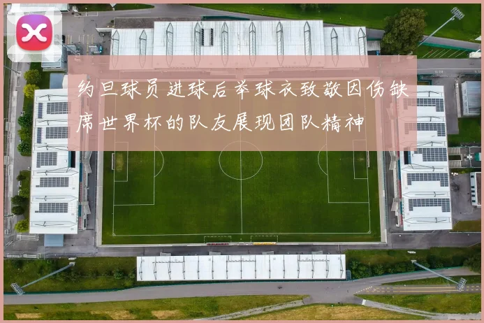 约旦球员进球后举球衣致敬因伤缺席世界杯的队友展现团队精神